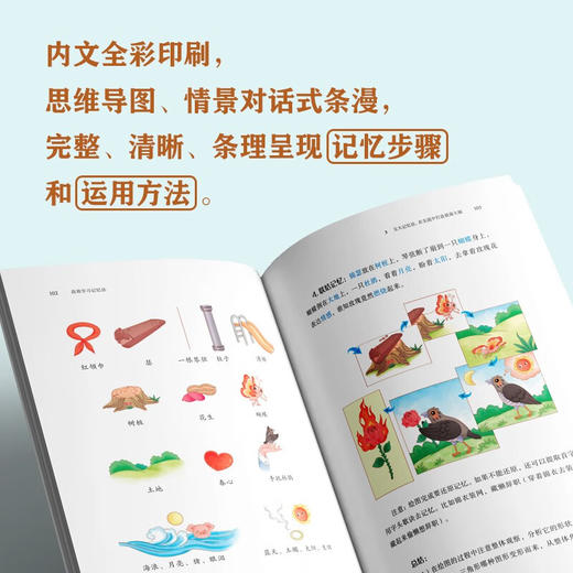 高效学习记忆法 卢菲菲 著 励志与成功 商品图3