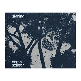 【现货】Søren Solkær: Starling | 丹麦摄影师Søren Solkær：椋鸟