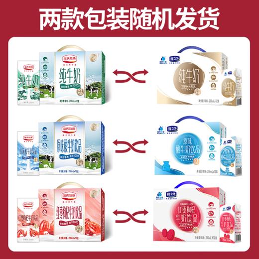 温氏丨酸牛奶 200ml*12 商品图4