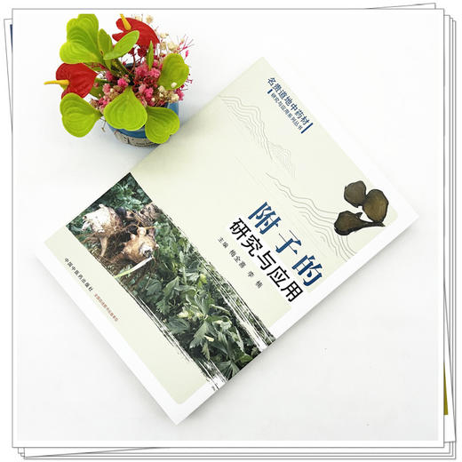 附子的研究与应用 梅全喜 李楠 主编 中国中医药出版社 (名贵道地中药材研究与应用系列丛书) 商品图2