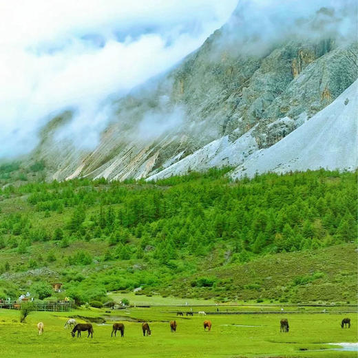 美宿 | 寻梦稻亚·四川6天5晚 商品图9