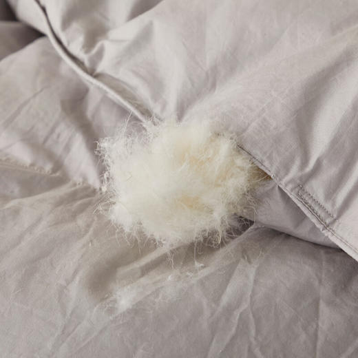 恒源祥100%白鸭绒羽绒被全棉四季被1250g  200*230cm【灰】 商品图4