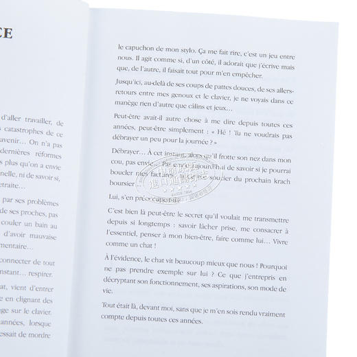 【中商原版】像猫一样思考 生活哲学 法文原版 Agir et penser comme un chat Stephane Garnier 商品图3