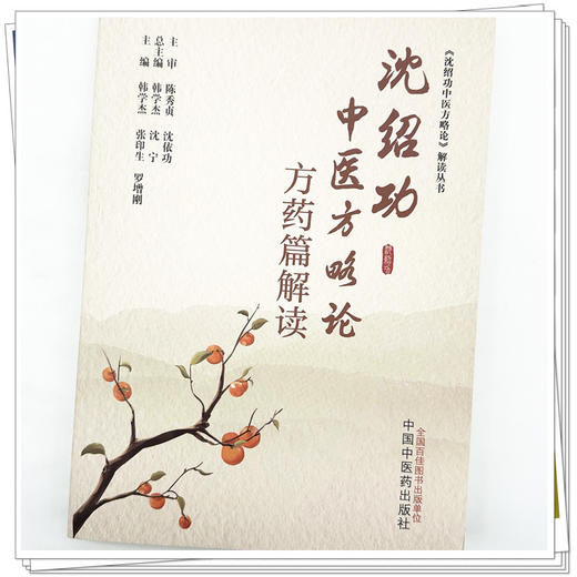 沈绍功中医方略论方药篇解读 韩学杰 张印生 罗增刚 主编 中国中医药出版社 商品图4