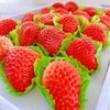 【原果】丹东草莓·1斤装 商品缩略图1