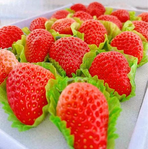 【原果】丹东草莓·1斤装 商品图1
