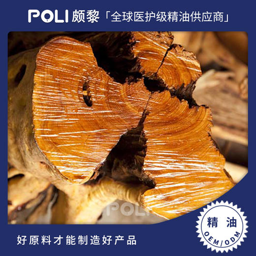 澳大利亚进口高级澳洲檀香精油 颇黎进口檀香单方精油原料 商品图0