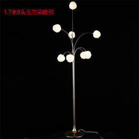 8头玉兰朵路引（运费自理）