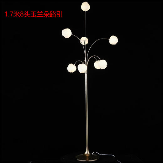 8头玉兰朵路引（运费自理） 商品图0