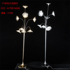 8头兰花路引（运费自理）