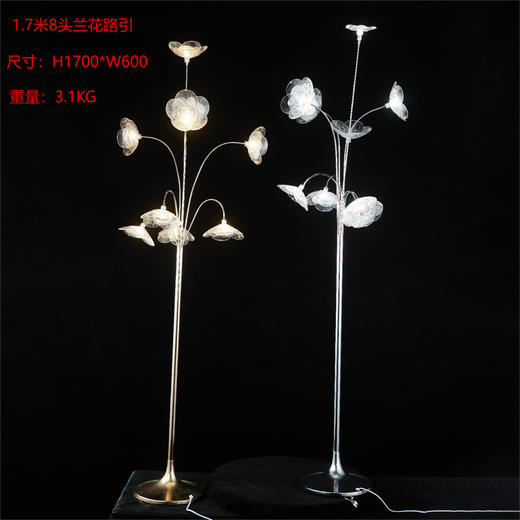 8头兰花路引（运费自理） 商品图0