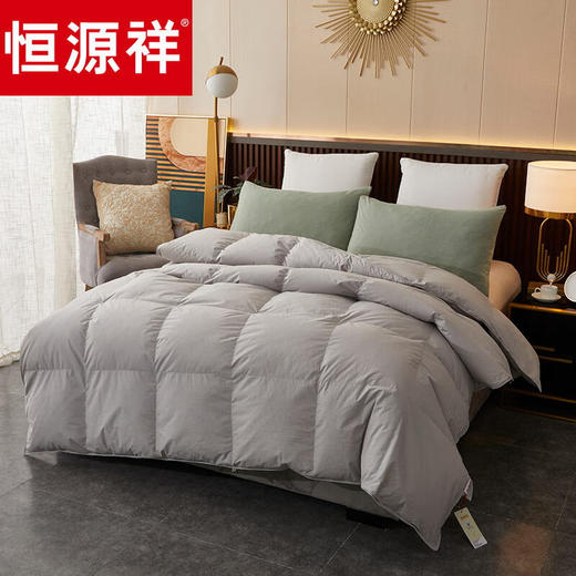 恒源祥100%白鸭绒羽绒被全棉四季被1250g  200*230cm【灰】 商品图1