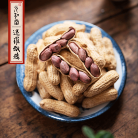 【福建龙岩湿烤花生】元和优选丨农产品  500g*2袋