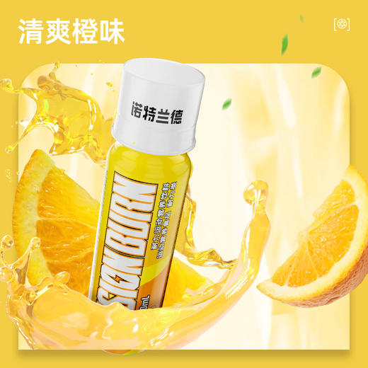 【乐刻甄选】诺特兰德左旋肉碱小黄瓶20支/箱 商品图4