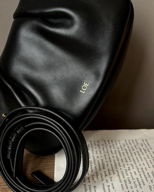 单品包邮 现货 THS 3.9-无 loe家 大牛工厂 paseo闪亮黑色Napa小牛皮挎包 CQ1307 商品图8