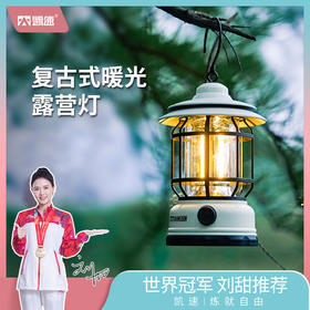 凯速氛围露营灯无极调光（充电款）LYD01