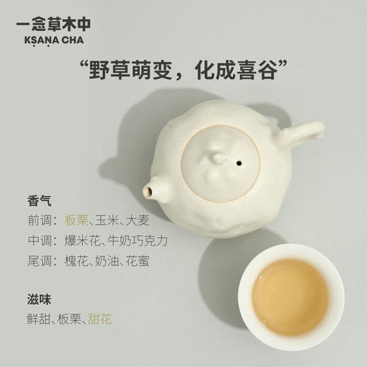 雾里萌黄·蒙顶黄芽 | 私房清饮系列 | 50g原叶 | 黄茶类 商品图2