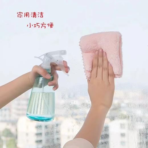 园艺手持喷水壶家用喷壶浇花小号园艺喷雾器消毒专用浇水壶气压式高压喷细雾喷瓶 商品图2
