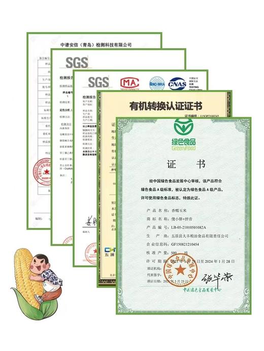 自营（山蒙海时）-傻小胖内蒙古绿色非转基因鲜糯玉米真空包装甜玉米粘苞米礼盒装2kg 商品图5