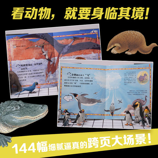 太酷啦！动物的秘密如此多（全12册）连 商品图3