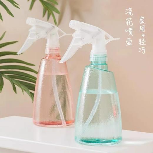园艺手持喷水壶家用喷壶浇花小号园艺喷雾器消毒专用浇水壶气压式高压喷细雾喷瓶 商品图3