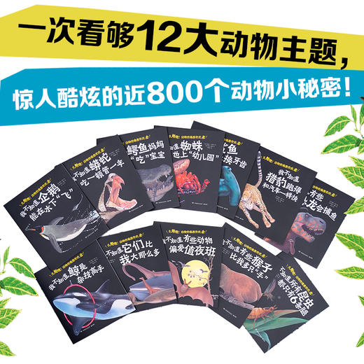 太酷啦！动物的秘密如此多（全12册）连 商品图2