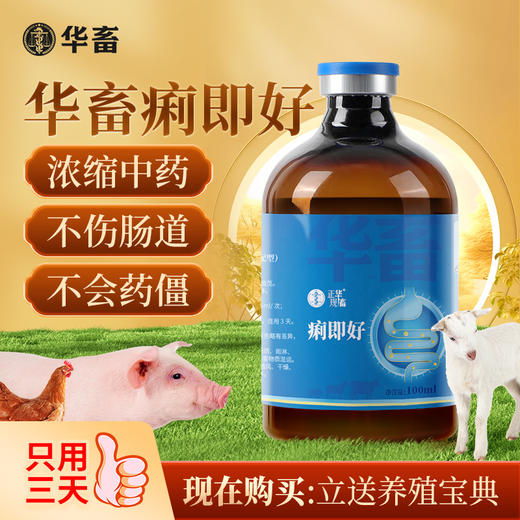 华畜-痢即好100ml猪牛羊通用红白黄痢 腹泻拉稀 商品图0