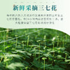 苗乡三七花正品官方旗舰店云南文山特产田七花非野生三七花 商品缩略图3