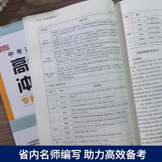 乐支点中考语文高分冲刺浙江省中考统考适用九年级初三中考复习书 商品图2
