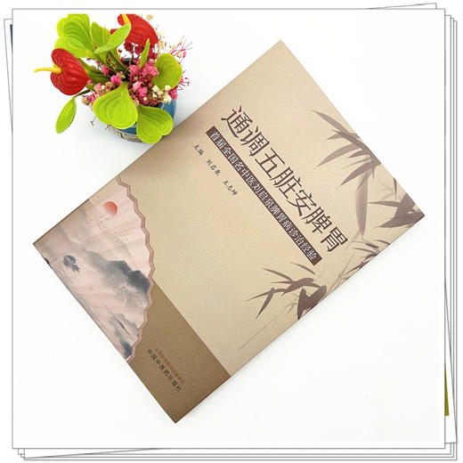 通调五脏安脾胃 刘启泉 王志坤 主编 中国中医药出版社 中医临床 书籍 商品图2