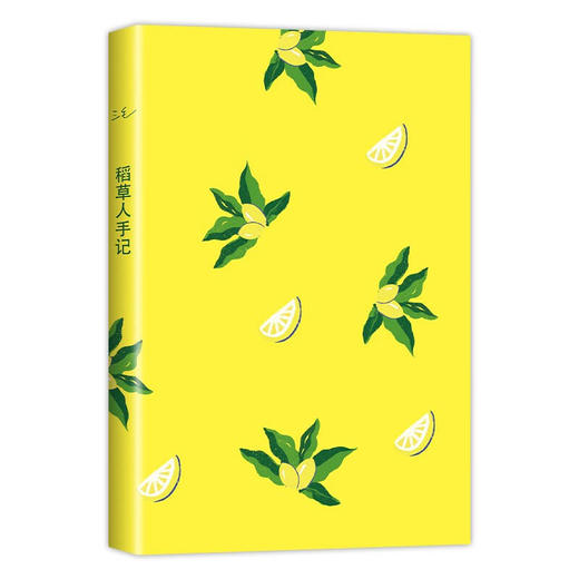 三毛：稻草人手记  商品图1