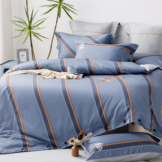 多喜爱 全棉新疆精梳棉简约时尚三/四件套 时光音悦cs 商品图1