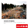 南风窗杂志2024年第6期：中国发展的底气与信心 商品缩略图4