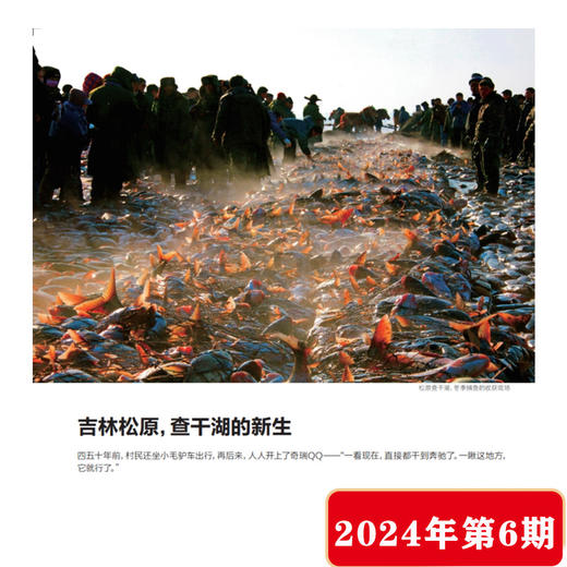 南风窗杂志2024年第6期：中国发展的底气与信心 商品图4