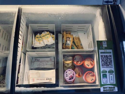 重力感应卧式冷冻售货柜 (418L卧式) 商品图3