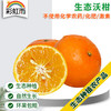 云南生态沃柑450g 皮薄肉厚甜蜜多汁京津冀满百包邮 商品缩略图0