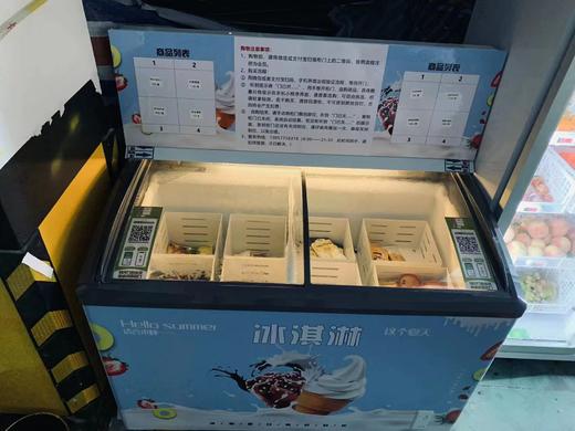 重力感应卧式冷冻售货柜 (418L卧式) 商品图4