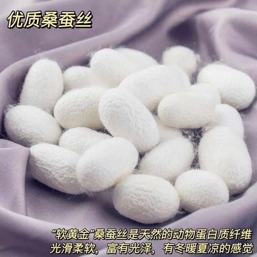 SOOKIE30姆米真丝枕套, 两件89元，送19姆米真丝眼罩1对（颜色随机）【G】 商品图3