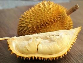 榴莲的价值