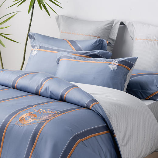 多喜爱 全棉新疆精梳棉简约时尚三/四件套 时光音悦cs 商品图2