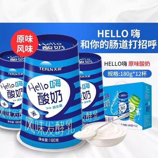 天润hello杯原味益生菌酸奶180gx12瓶/箱 商品图1