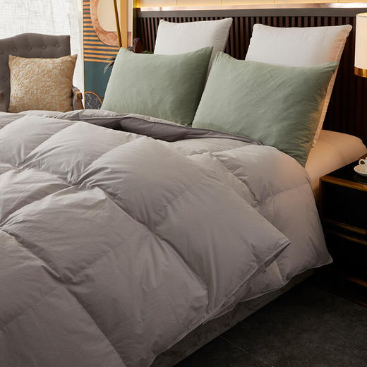 恒源祥100%白鸭绒羽绒被全棉四季被1250g  200*230cm【灰】 商品图8