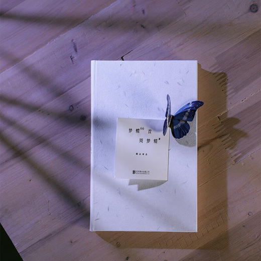 梦蝶66首 周梦蝶 著 商品图5