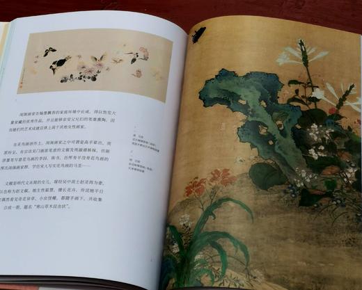 《她们：中国古代女子图鉴》，蔡琴 编著，16开，精装，307页，上海书画出版社2023年11月一版一印。定价168，售价68元。品相9-95成。 商品图13