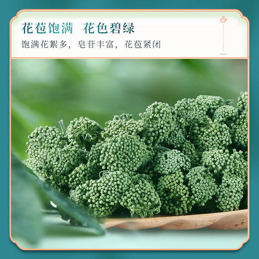 苗乡三七花正品官方旗舰店云南文山特产田七花非野生三七花 商品图5