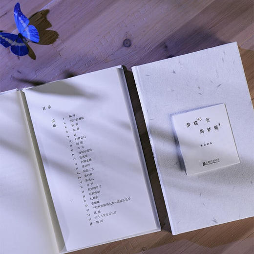 梦蝶66首 周梦蝶 著 商品图8