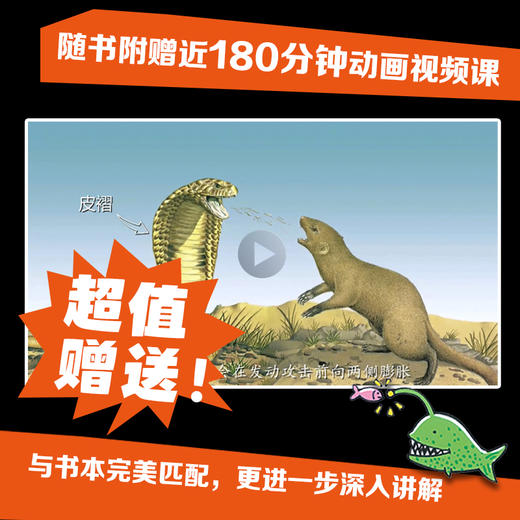 太酷啦！动物的秘密如此多（全12册）连 商品图1