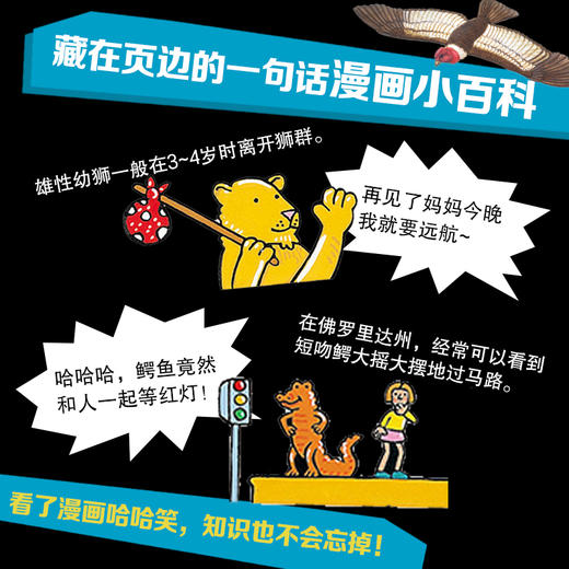 太酷啦！动物的秘密如此多（全12册）连 商品图5