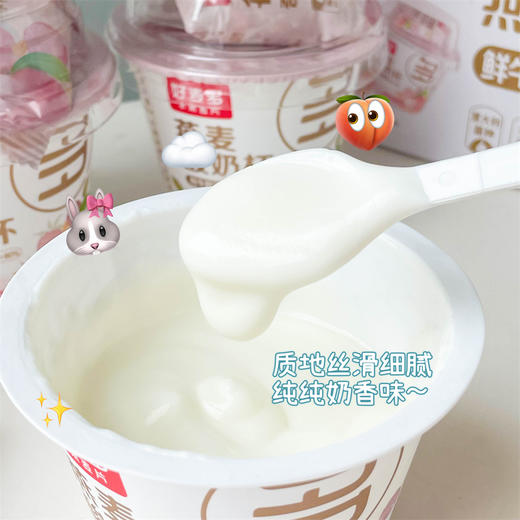 生牛乳含量≥80%【好麦多燕麦酸奶杯】一箱6杯，牧场直送奶源，够饱腹、够轻卡，满口浓郁自然的奶香！ 商品图2