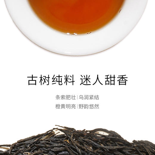 凤牌 | 云南古树滇红特级工夫红茶100g浓香型 商品图2